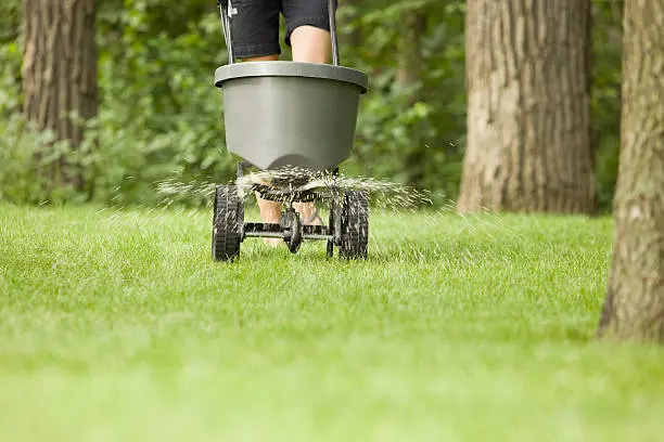 Lawn Fertilization in South Bend, IN