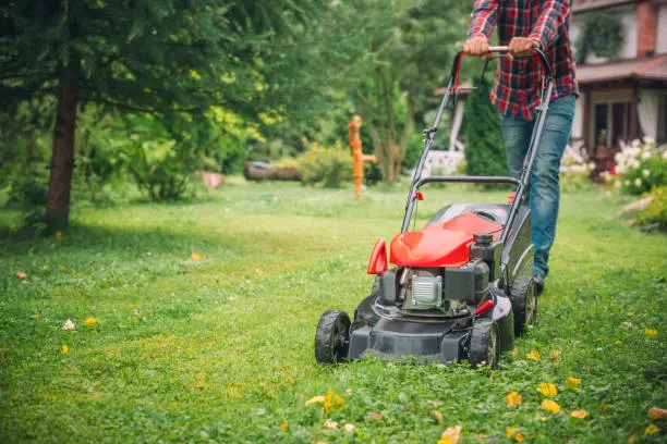 Lawn Mowing South Bend, IN