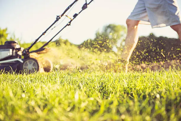 Lawn Mowing in South Bend, IN