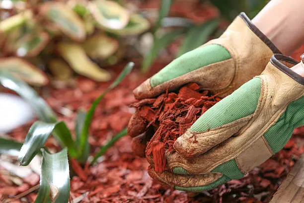 Mulching South Bend, IN