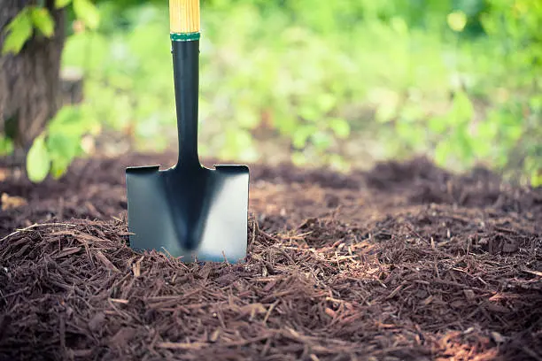 Mulching in South Bend, IN