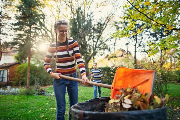 Reliable Yard Cleanup in South Bend, IN