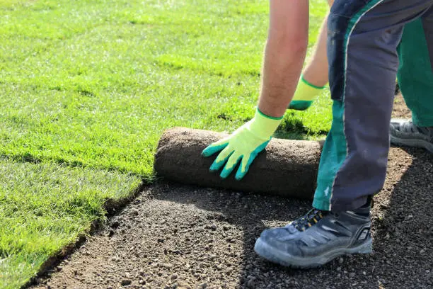 Sod Installation South Bend, IN