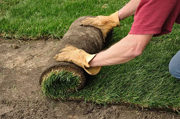 Sod Installation in South Bend, IN