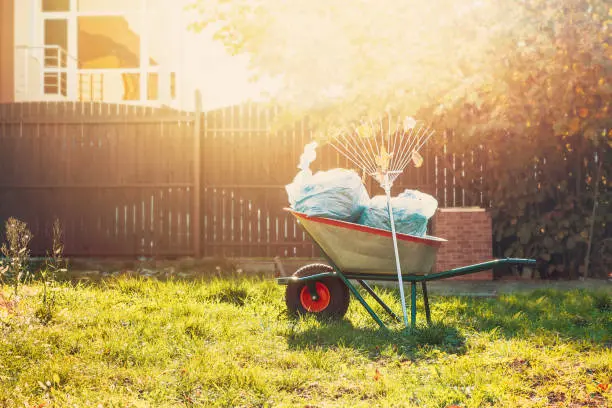 Yard Cleanup in South Bend, IN